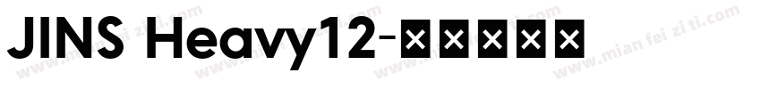JINS Heavy12字体转换